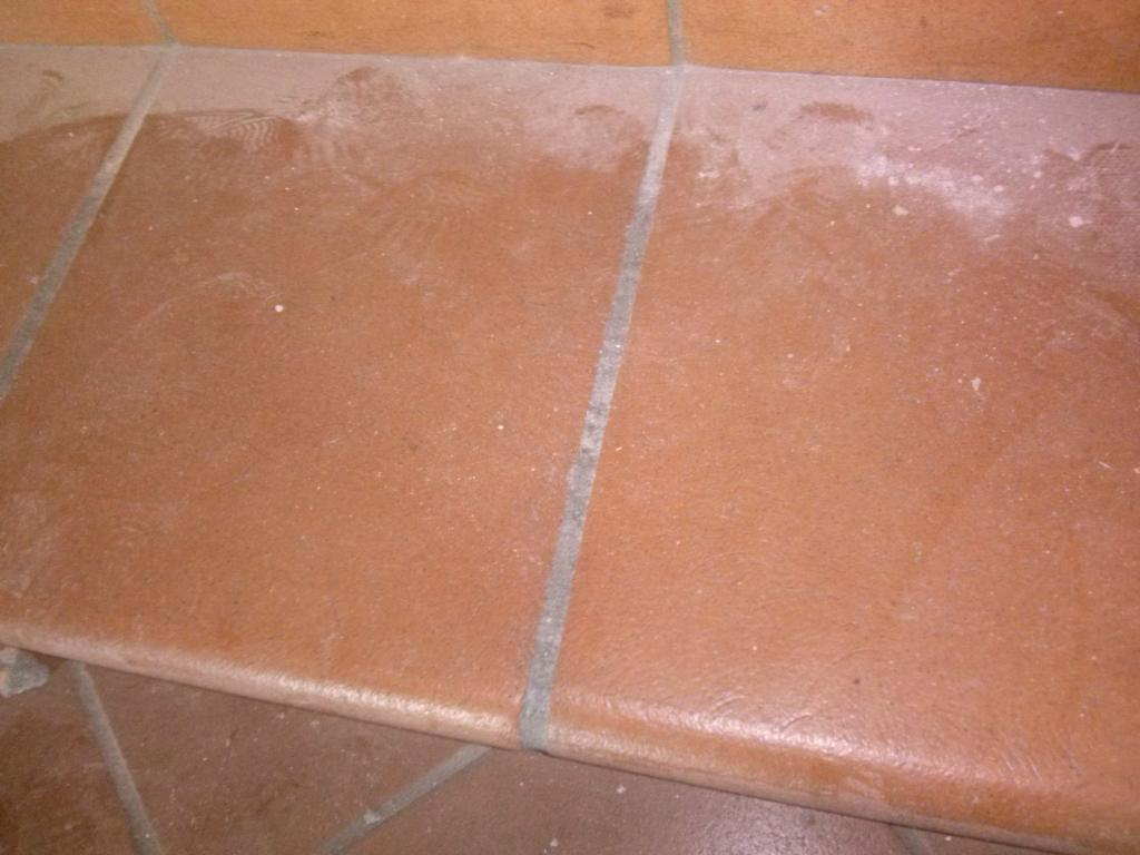 Infiorescenze_salnitro_cotto_toscano