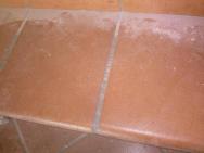 Infiorescenze_salnitro_cotto_toscano